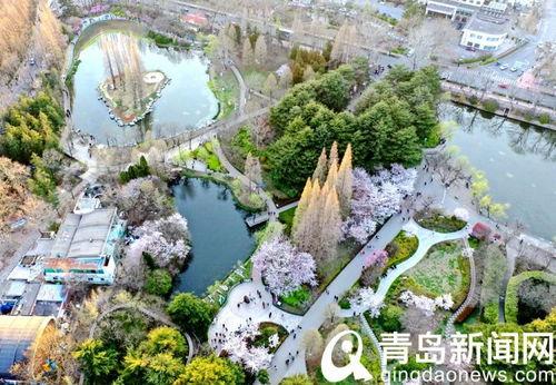 中山公园最新爆料信息,神秘古建筑群惊现,历史之谜待解 第1张 中山公园最新爆料信息,神秘古建筑群惊现,历史之谜待解 第1张